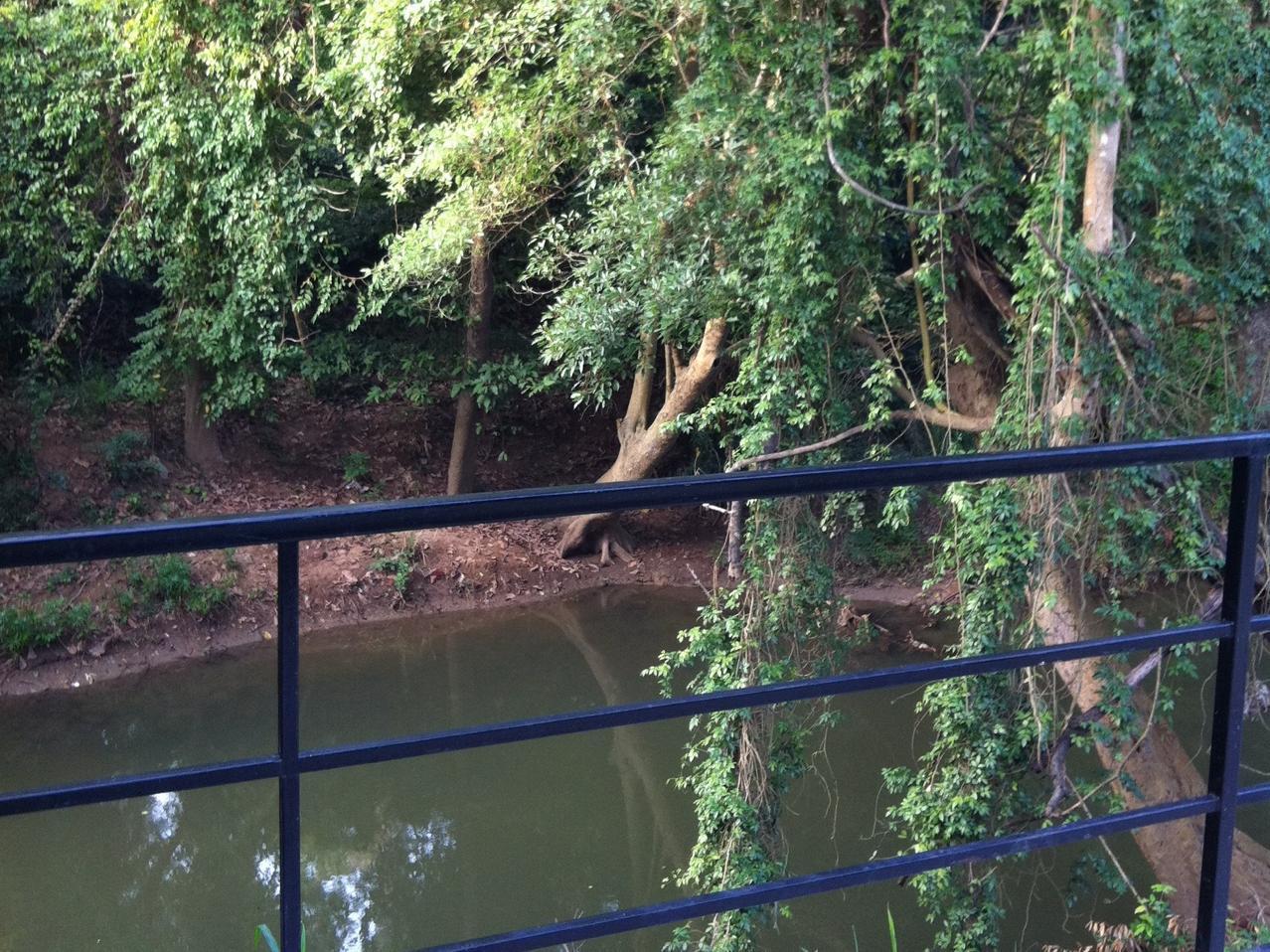 The Creek At Khao Yai Hotel Pakcsong Kültér fotó