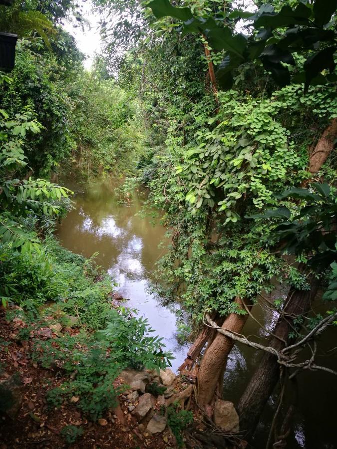 The Creek At Khao Yai Hotel Pakcsong Kültér fotó